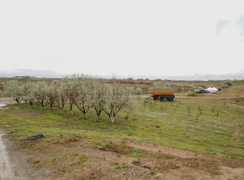 В ТУРКЕСТАНЕ ОБСУДИЛИ ХОД СОЗДАНИЯ ЭКОПАРКА (5)