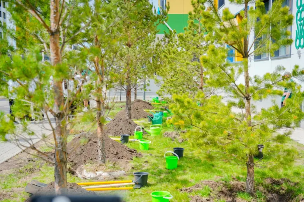 «Таза Казахстан»: выпускники столичных школ приняли участие в акции по посадке деревьев (6)