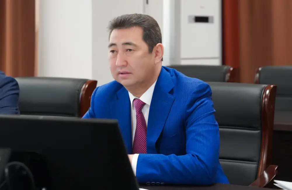 Казахстан и ЕЭК усиливают кооперацию в АПК: акцент на совместные проекты и поддержку бизнеса (2)