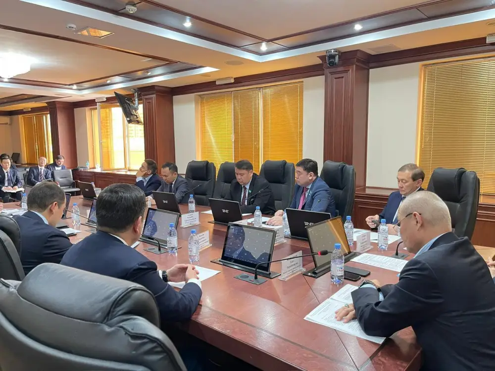 Поддержка казахстанских товаропроизводителей (4)