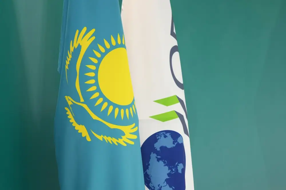 Министерство водных ресурсов и ирригации и Организация экономического сотрудничества и развития обсудили привлечение инвестиций в водный сектор Казахстана (2)