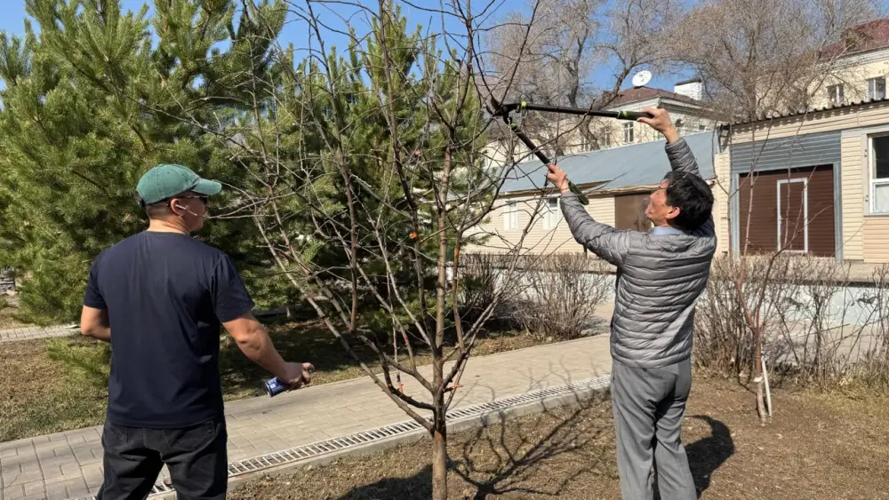 «Таза Қазақстан»: сотрудники музеев Астаны приняли участие в субботнике (3)