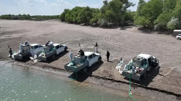 ТУРКЕСТАН: В ОТЫРАРСКОМ РАЙОНЕ НАЧАЛАСЬ ДЕЗИНСЕКЦИЯ ПРОТИВ МОШКИ (2)