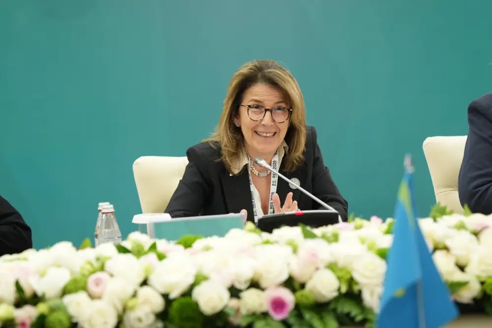 Министерство водных ресурсов и ирригации и Организация экономического сотрудничества и развития обсудили привлечение инвестиций в водный сектор Казахстана (3)