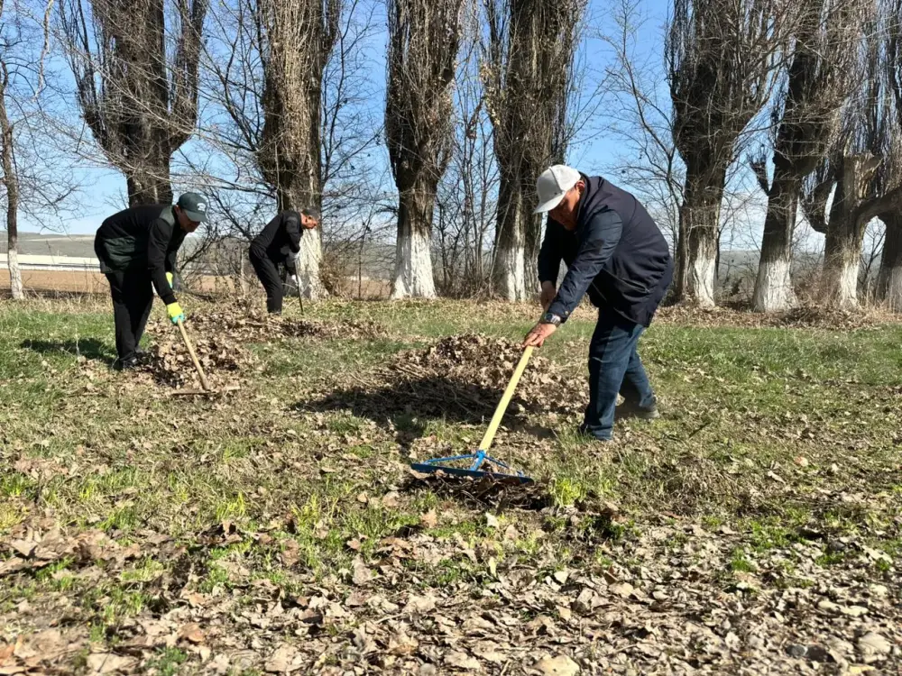 «Таза Қазақстан»: в рамках общеобластного субботника в Жетісу посадили свыше 8 тысяч деревьев (8)