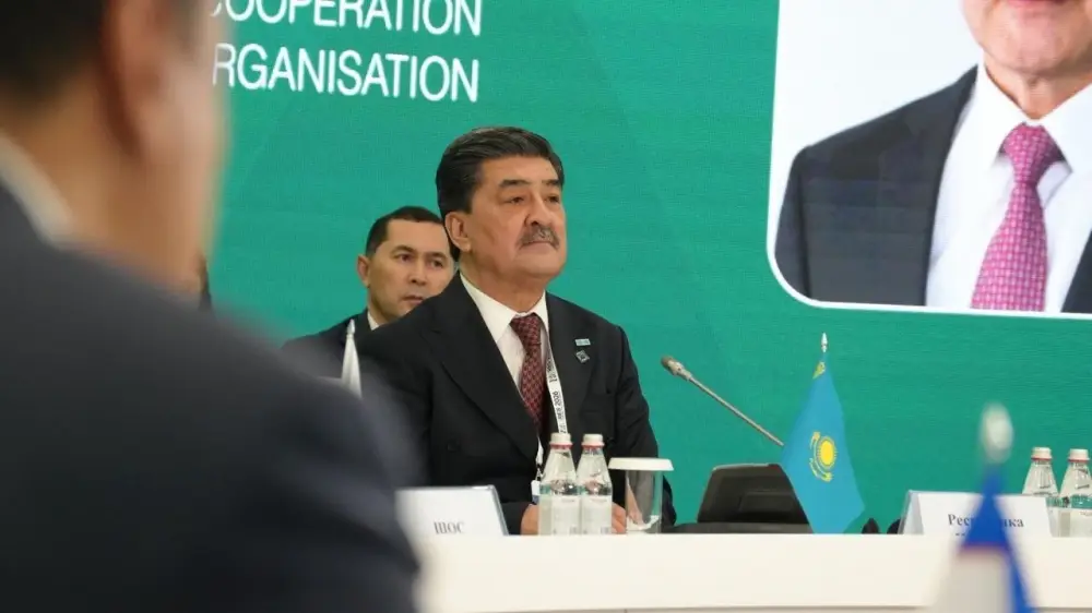 Экологическое партнерство ШОС и ЮНЕП: совместные действия для устойчивого будущего региона (8)