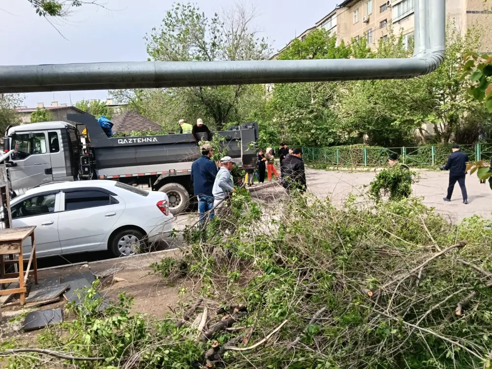 В ШЫМКЕНТЕ ПРОШЛА АКЦИЯ «ТАЗА АУЛА»: УЧАСТИЕ ПРИНЯЛИ БОЛЕЕ 55 ТЫСЯЧ ЧЕЛОВЕК (3)