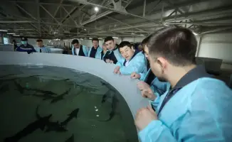 Инновационный проект в Мангистау: устойчивое развитие рыбного хозяйства с акцентом на экологию и экономику региона