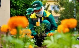 Кентау: работы по благоустройству и озеленению