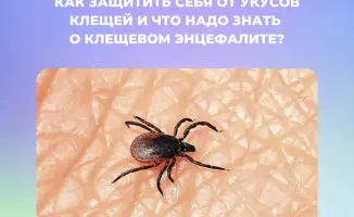 Увеличение обращений после укусов клещей в Казахстане: необходимость вакцинации и профилактики