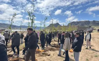 Масштабный субботник в Алматинской области: 32 тыс. участников объединены идеей экологической ответственности