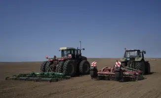 В Жетісу начинается посев сахарной свёклы: важный шаг для аграрного сектора региона