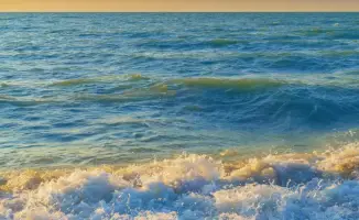 Аукцион земельных участков на берегу озера Балхаш: инвесторы могут приобрести участки площадью от 12 до 2 гектаров