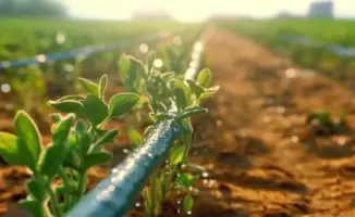 Вода и урожай: новые решения для Казахстана