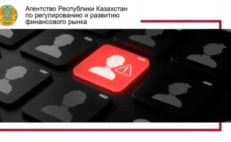 Как не попасть в ловушку мошенников с госпрограммами?