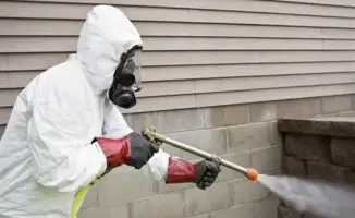 Дератизация в Астане: весенние и осенние меры против грызунов и их влияние на безопасность жителей