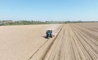 В Мактаарале стартовала кампания по посеву хлопка на 1494 гектарах