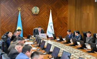 В области Абай обсуждены международные практики реализации программы «Таза Қазақстан» по очистке и озеленению