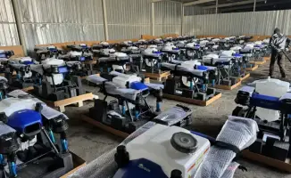 В небе над полями летают 57 дронов для борьбы с саранчой