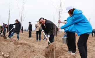 Посадка 10 тысяч деревьев в Таразе: шаг к улучшению экологической ситуации
