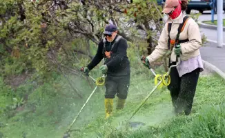 Субботник по очистке прибрежных территорий в Жетысуском районе Алматы собрал около 30 тонн мусора