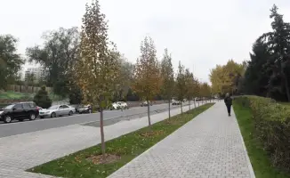 Ежедневная уборка Алмалинского района Алматы более 1000 рабочих и техники