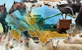 Животноводство Абай 2025 мясо молоко яйца производство