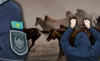 Когда доверие оборачивается кражей: 46 млн тенге