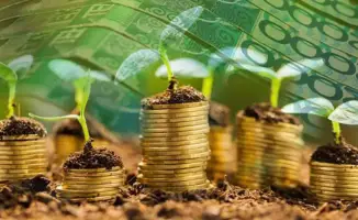 Казахстан достиг рекорда в экспорте сельхозпродукции, заработав 7 миллиардов долларов благодаря льготному кредитованию