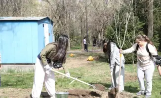 Алматы: Журналисты сажают семена надежды в новой аллее