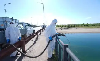 ТУРКЕСТАН: ОТКРЫВАЯ СЕЗОН БОРЬБЫ С МОШКОЙ В ОТЫРАРСКОМ РАЙОНЕ