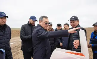 Расширение посевных площадей в Жамбылском районе: последствия для сельского хозяйства и экологии