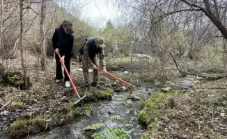 Более 60 участников очистили родники в Сайрамсуском ущелье