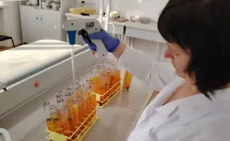 Учёные Казахстана запатентовали новые сорта растений