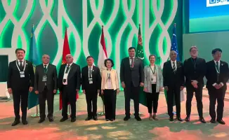 Казахстан запускает масштабную программу озеленения для создания защитных лесных полос в Центральной Азии