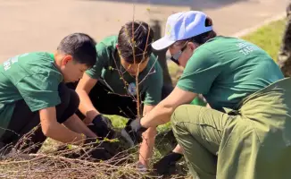 Влияние экологической акции на будущее экосистемы: учащиеся школы №45 в действии