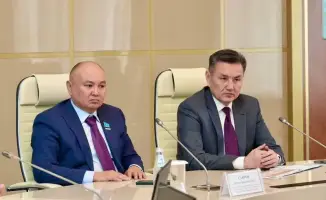 Катон-Карагай: Зелёное сердце Казахстана, где природа и бизнес танцуют в унисон