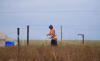 Посещение лесопитомника в Казахстане: акцент на экологии и устойчивом развитии
