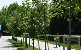 Биологическая обработка зеленых насаждений в Алматы: влияние на экосистему и здоровье горожан