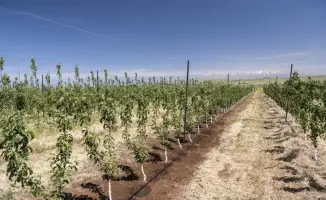 Внедрение технологий водосбережения в Туркестанской области: международный опыт и перспективы