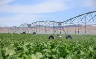 Капля за каплей: как Казахстан осваивает водосберегающие технологии в условиях летнего зноя