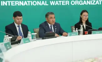Консультации по созданию Международной организации по воде: необходимость глобального сотрудничества в управлении водными ресурсами