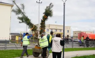Экологическая акция в Ордабасы: 1200 деревьев и 16 тонн мусора для улучшения качества жизни