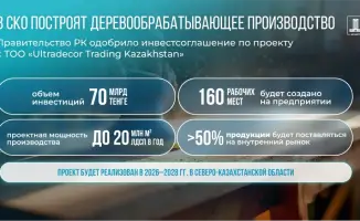 Создание нового деревообрабатывающего завода в Северо-Казахстанской области: экономические перспективы и социальные последствия
