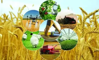 В 2023 году в Атырауской области будет реализовано 102 проекта по развитию сельского предпринимательства в рамках программы «Ауыл аманаты».