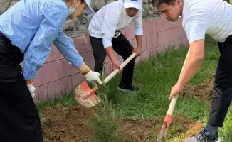 Международные усилия по озеленению в Туркестанской области: проект "Таза Қазақстан" вдохновляет сообщество