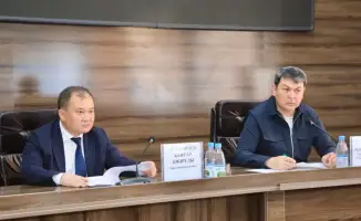 Социальная координация в борьбе с саранчой: как местные власти защищают урожай в Туркестане