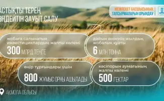 Строительство завода по глубокой переработке зерна в Акмолинской области: новые рабочие места и развитие высоких технологий в Казахстане