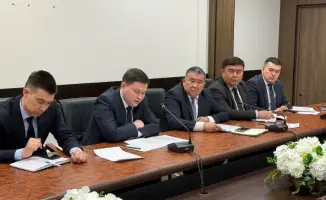 На шахматной доске борьбы: стратегии против саранчовых вредителей и коррупции