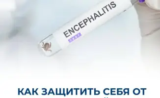 Весенний щит: как защитить себя от укусов клещей и знать о клещевом энцефалите